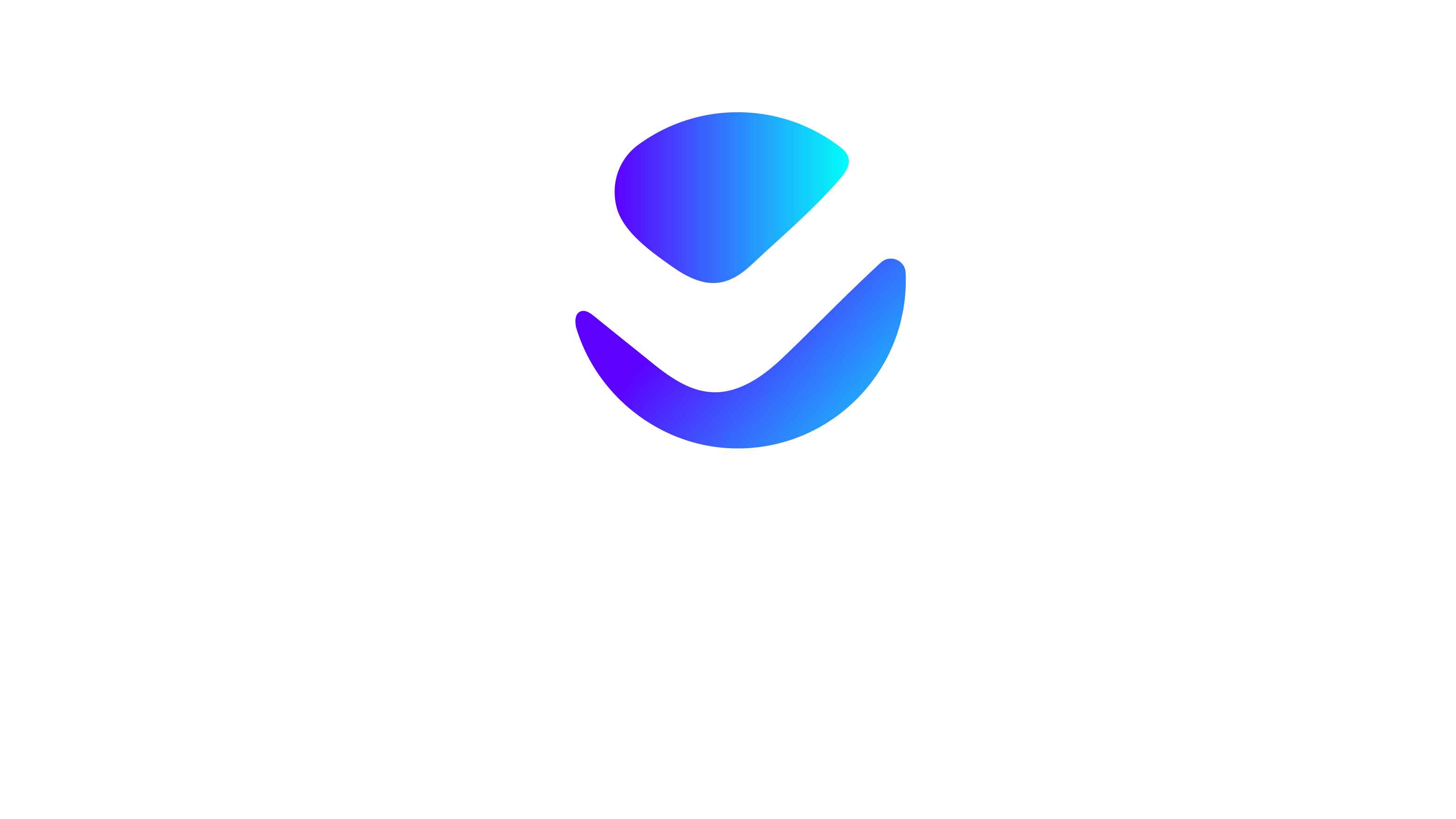 Veynad Consulting